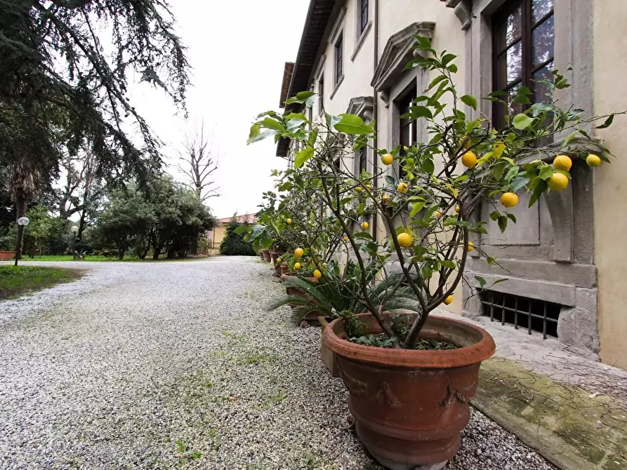 Immagine 8 di Immobile di prestigio in vendita  a San Giuliano Terme