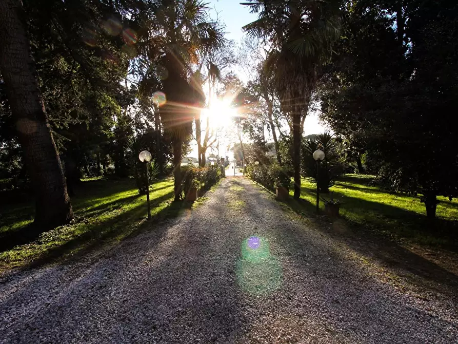 Immagine 5 di Immobile di prestigio in vendita  a San Giuliano Terme