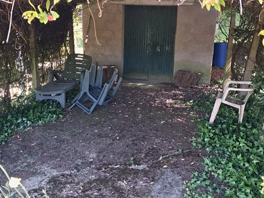 Immagine 11 di Terreno agricolo in vendita  a Capannoli
