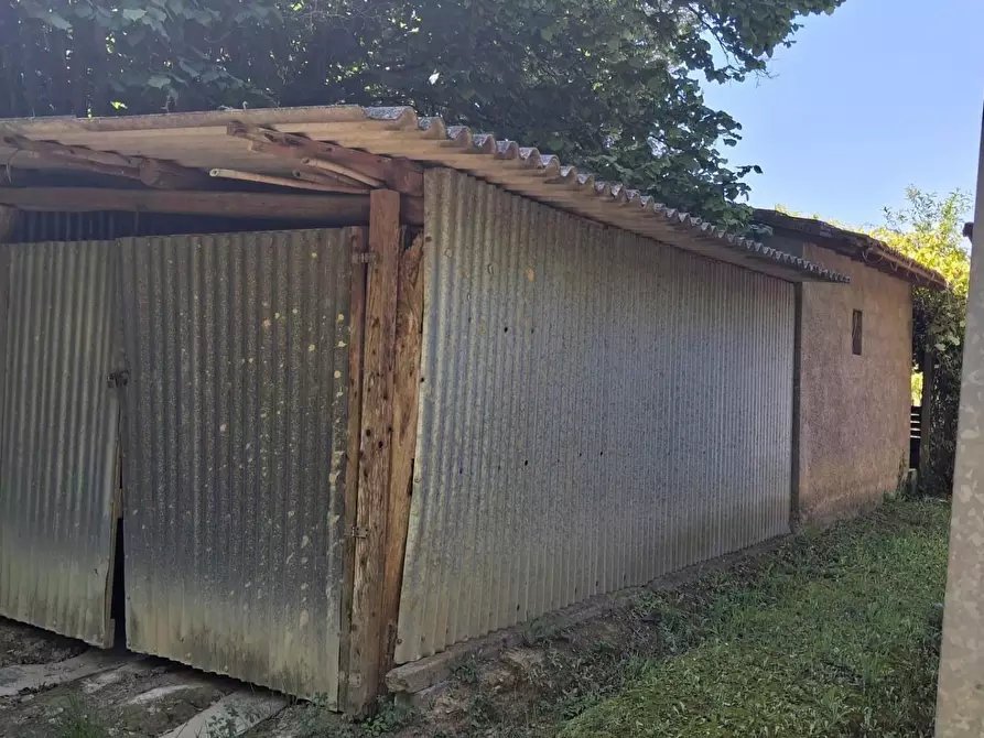Immagine 13 di Terreno agricolo in vendita  a Capannoli