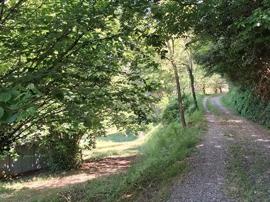Immagine 12 di Terreno agricolo in vendita  a Capannoli