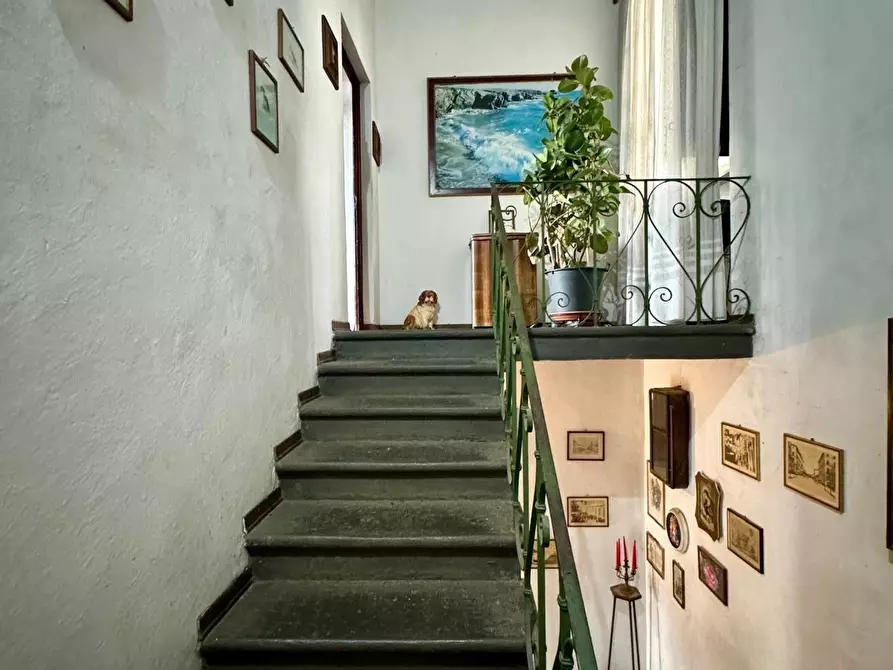 Immagine 29 di Villa in vendita  a Lucca