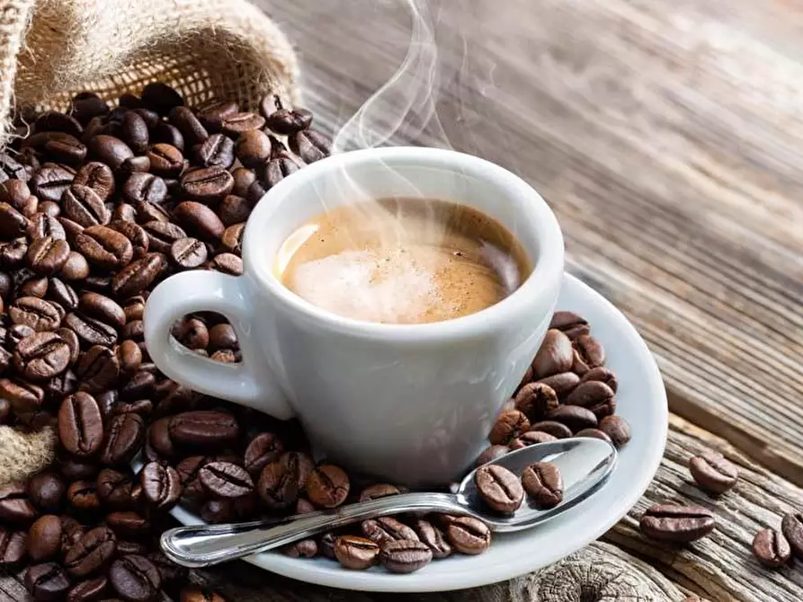 Immagine 1 di Attività commerciale in vendita  a Condove