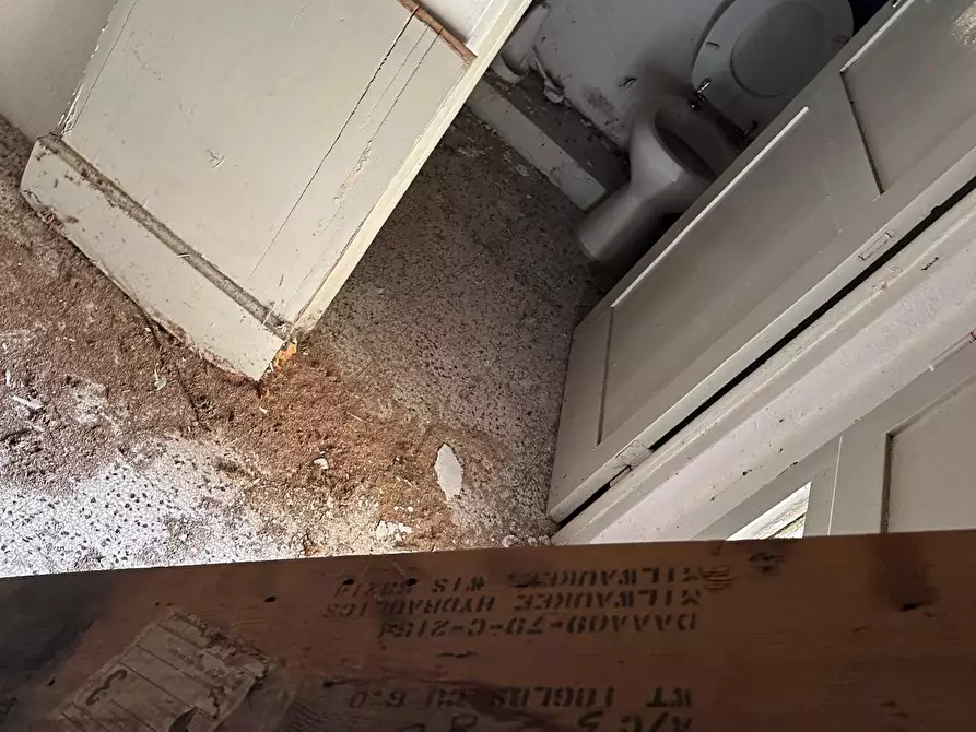 Immagine 18 di Terratetto in vendita  a Calci