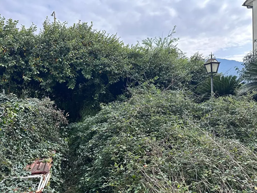 Immagine 48 di Terratetto in vendita  a Calci