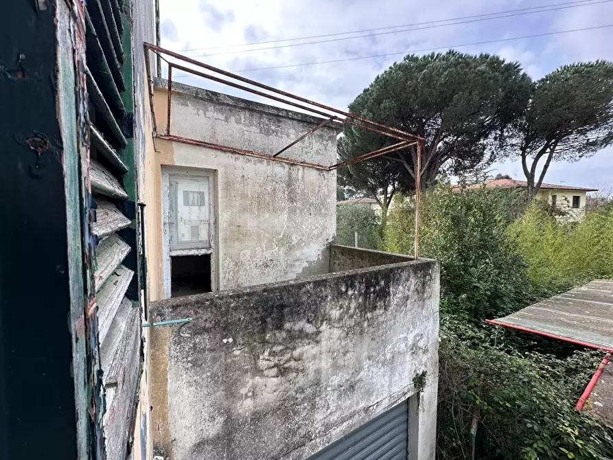 Immagine 21 di Terratetto in vendita  a Calci