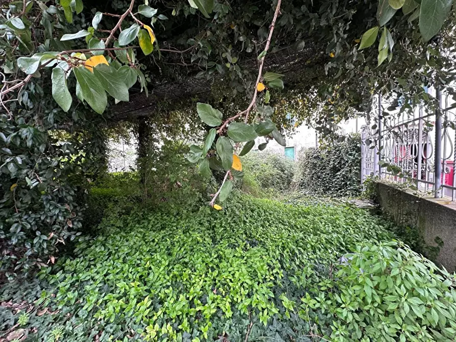 Immagine 2 di Terratetto in vendita  a Calci