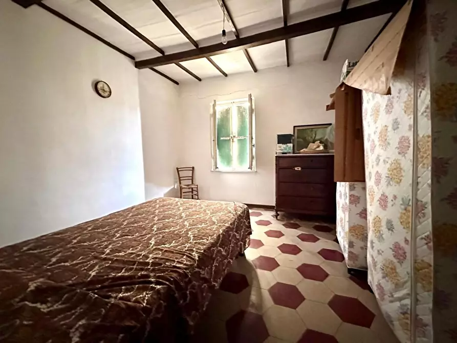 Immagine 33 di Terratetto in vendita  a Calci