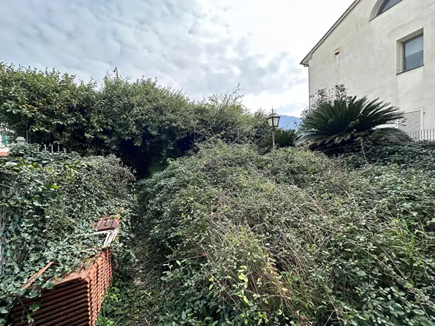 Immagine 47 di Terratetto in vendita  a Calci