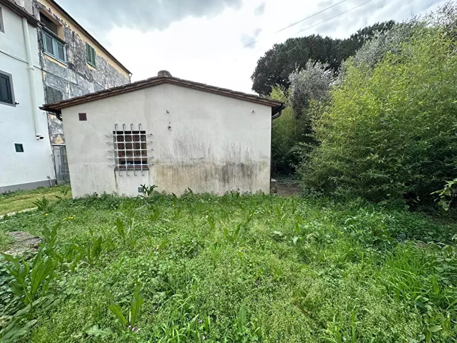 Immagine 44 di Terratetto in vendita  a Calci