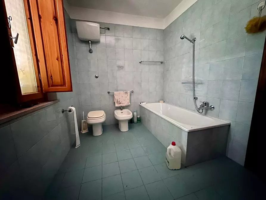 Immagine 36 di Terratetto in vendita  a Calci