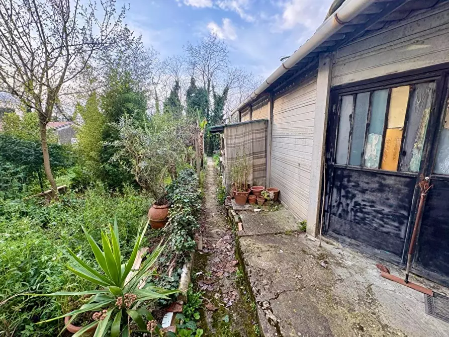 Immagine 28 di Terratetto in vendita  a Montelupo Fiorentino