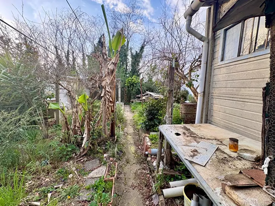 Immagine 27 di Terratetto in vendita  a Montelupo Fiorentino