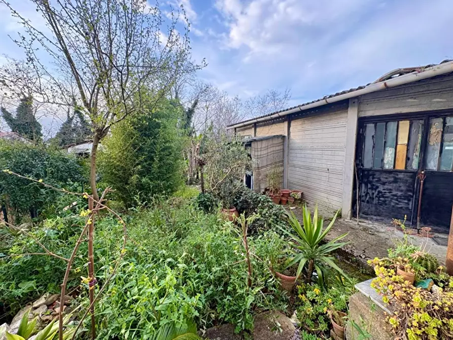 Immagine 29 di Terratetto in vendita  a Montelupo Fiorentino