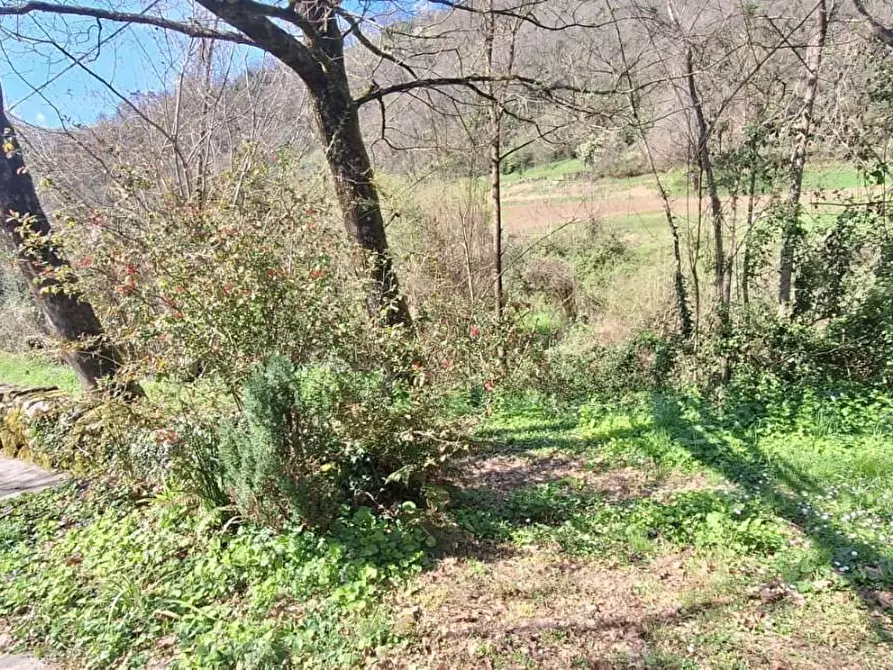 Immagine 20 di Porzione di casa in vendita  a Bagni Di Lucca