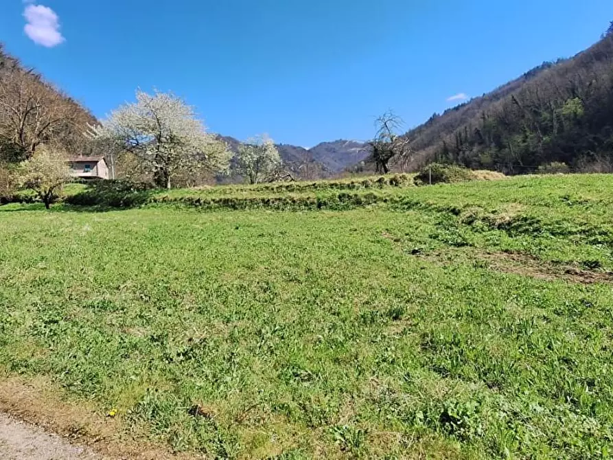 Immagine 31 di Porzione di casa in vendita  a Bagni Di Lucca