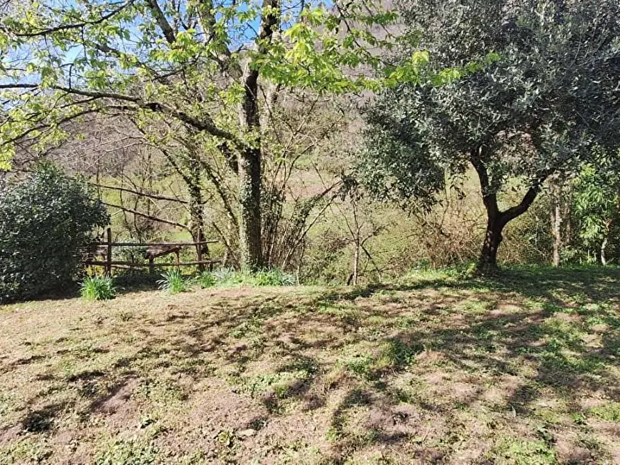 Immagine 26 di Porzione di casa in vendita  a Bagni Di Lucca
