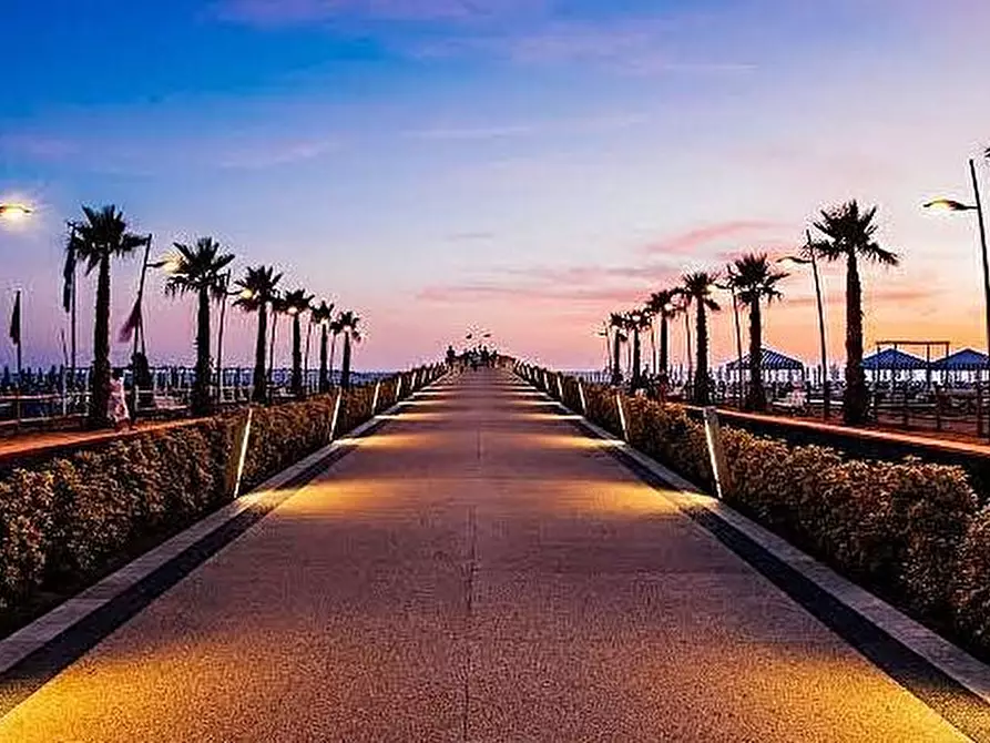 Immagine 1 di Negozio in vendita  a Camaiore