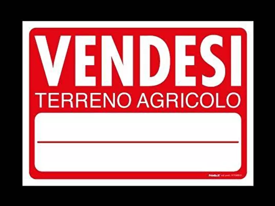 Immagine 1 di Terreno agricolo in vendita  a Vicopisano