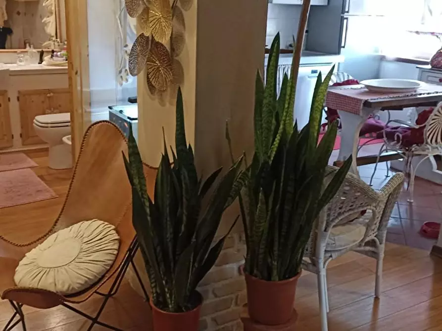 Immagine 24 di Appartamento in vendita  a Carrara