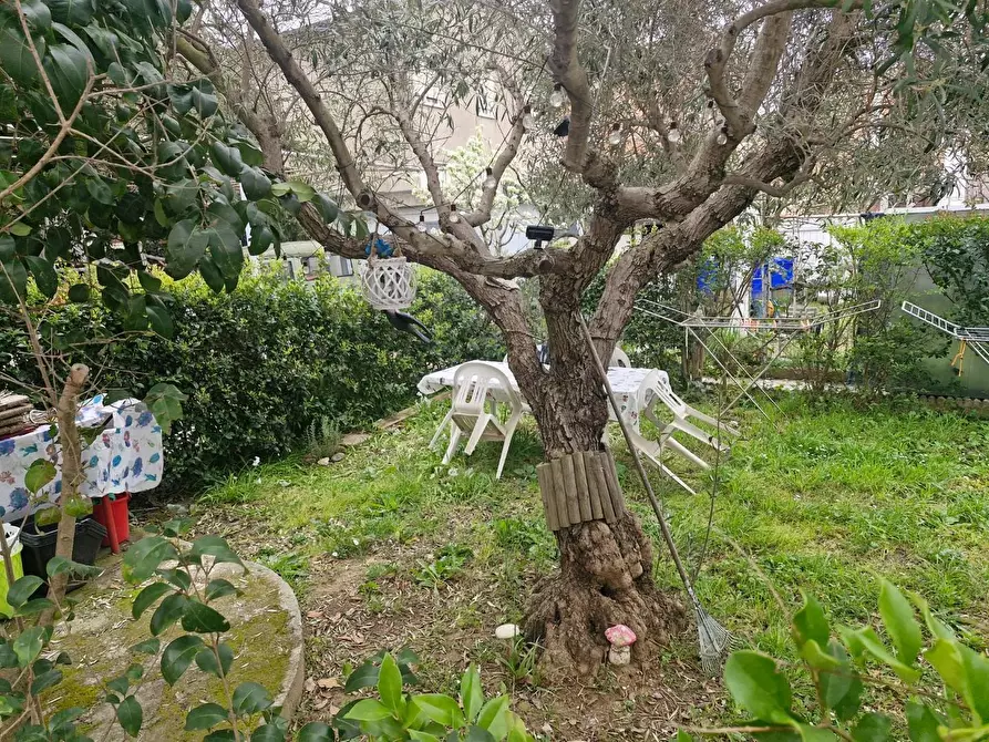 Immagine 6 di Appartamento in vendita  a Campiglia Marittima