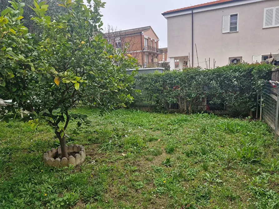 Immagine 5 di Appartamento in vendita  a Campiglia Marittima