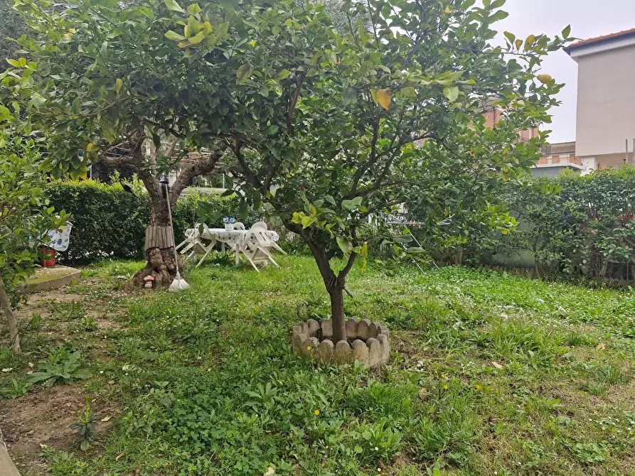 Immagine 8 di Appartamento in vendita  a Campiglia Marittima