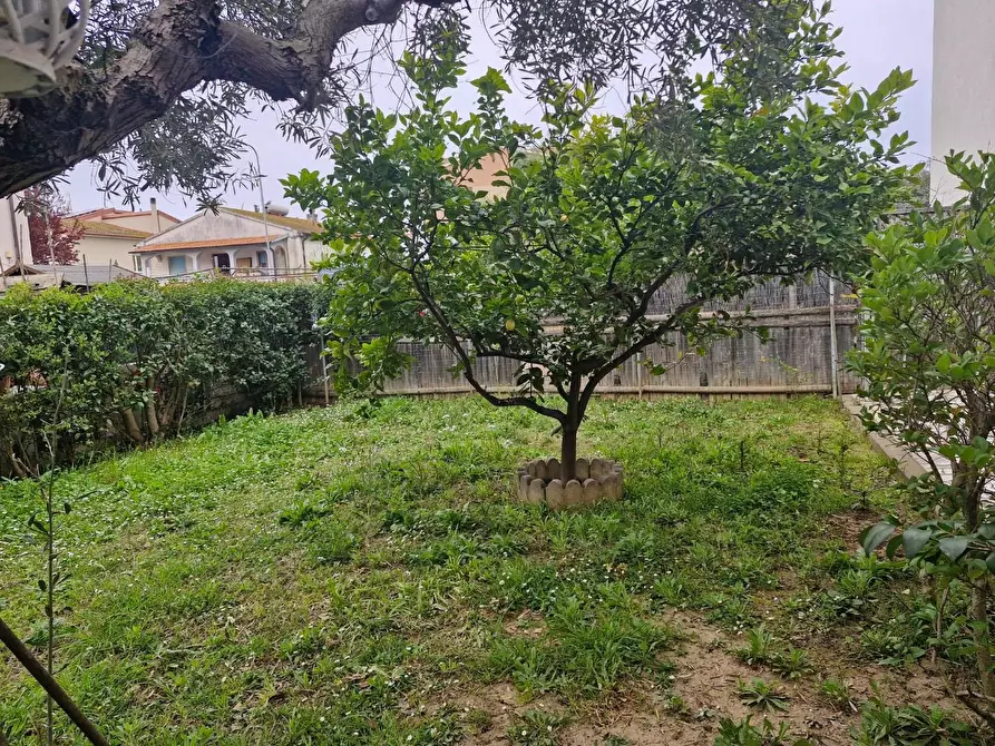 Immagine 7 di Appartamento in vendita  a Campiglia Marittima