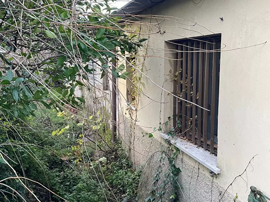 Immagine 44 di Villa in vendita  a Crespina Lorenzana