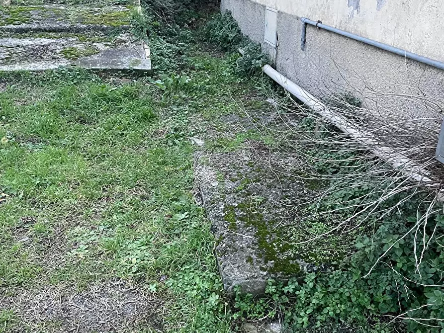 Immagine 35 di Villa in vendita  a Crespina Lorenzana