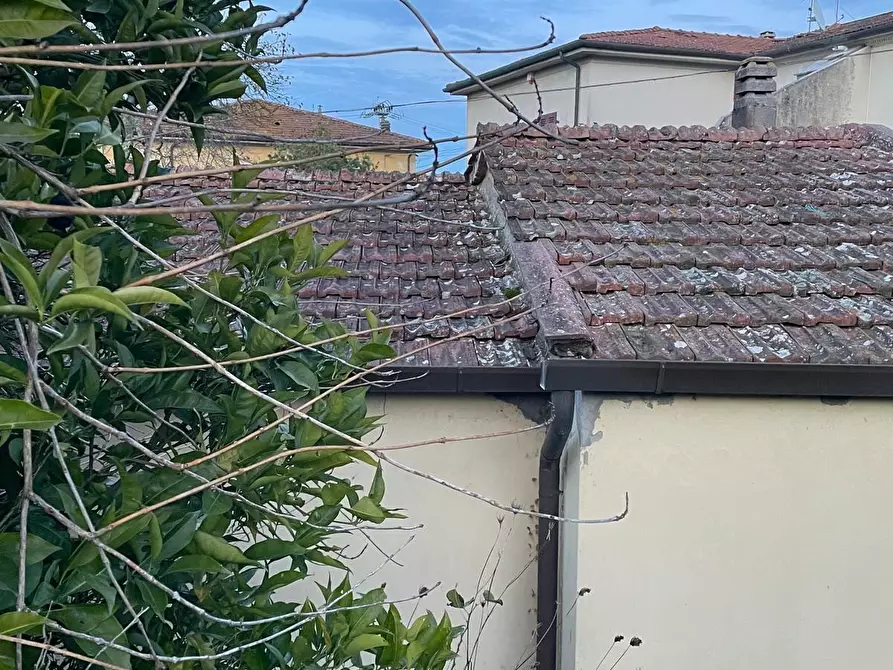 Immagine 29 di Villa in vendita  a Crespina Lorenzana