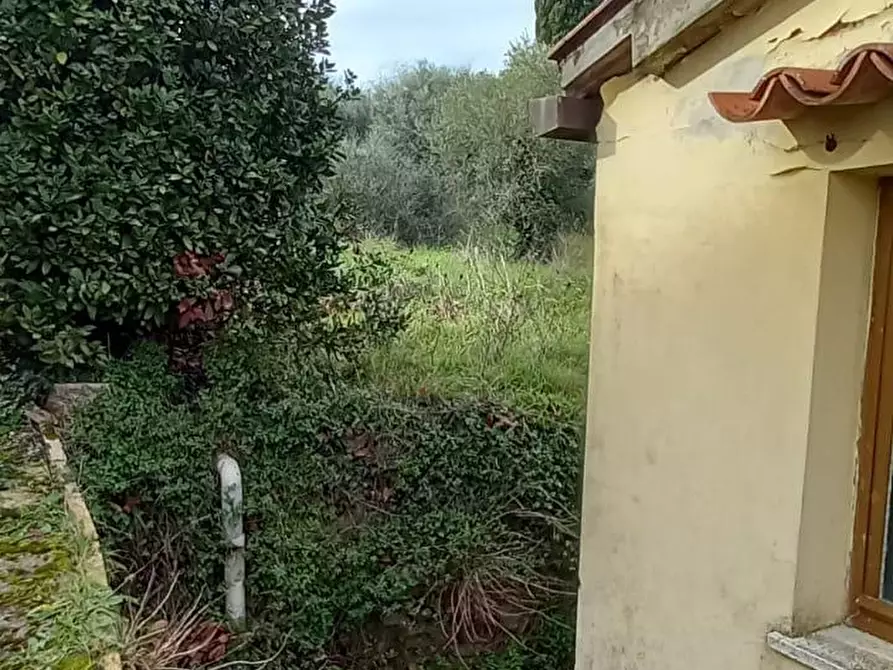 Immagine 13 di Villa in vendita  a Crespina Lorenzana