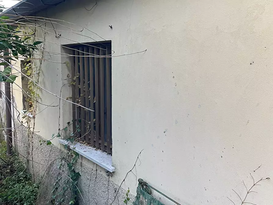 Immagine 8 di Villa in vendita  a Crespina Lorenzana