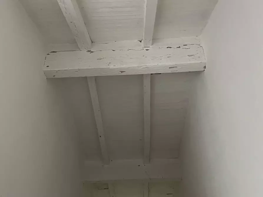 Immagine 3 di Villa in vendita  a Crespina Lorenzana