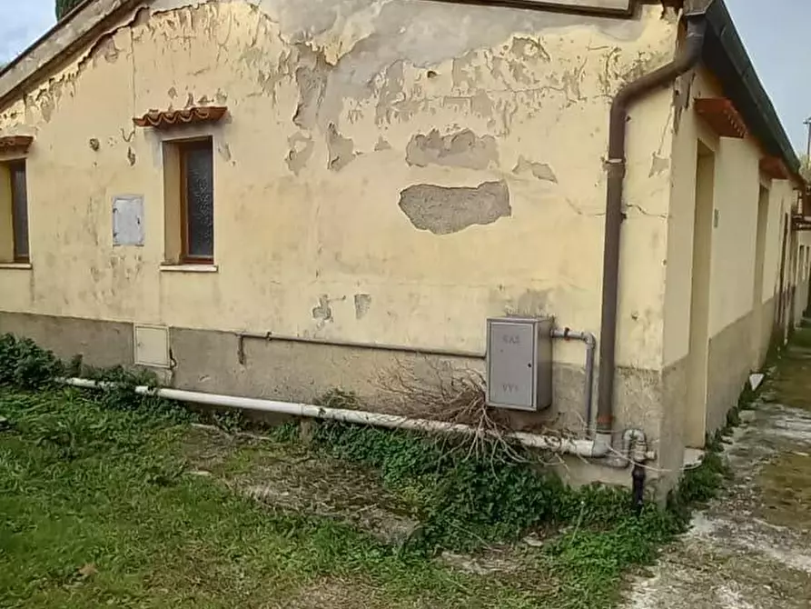 Immagine 9 di Villa in vendita  a Crespina Lorenzana