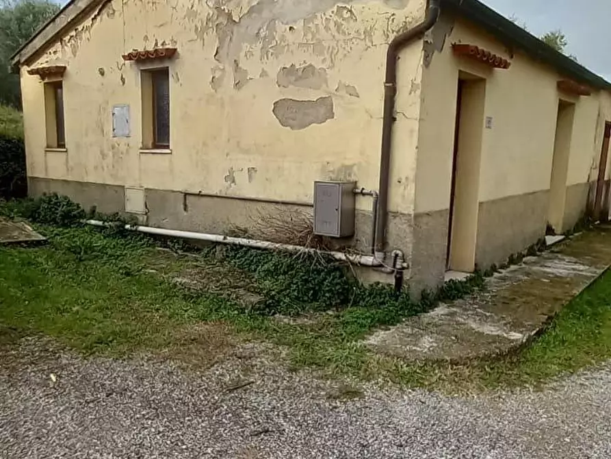 Immagine 49 di Villa in vendita  a Crespina Lorenzana