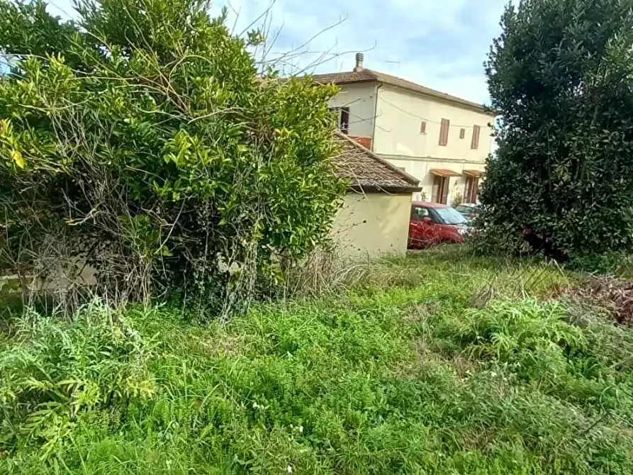 Immagine 11 di Villa in vendita  a Crespina Lorenzana
