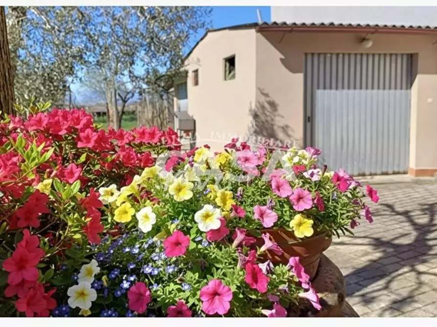 Immagine 8 di Casa indipendente in vendita  a Santa Maria A Monte