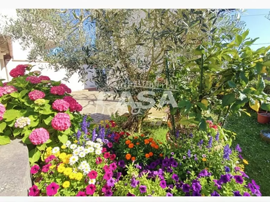 Immagine 6 di Casa indipendente in vendita  a Santa Maria A Monte