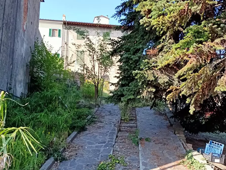 Immagine 3 di Rustico / casale in vendita  a Vicopisano