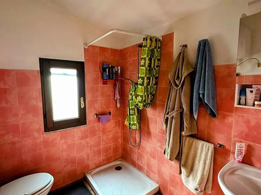 Immagine 17 di Casa colonica in vendita  a Suvereto