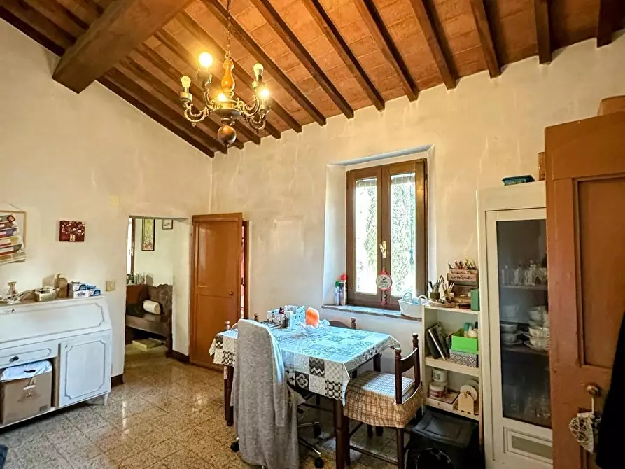 Immagine 7 di Casa colonica in vendita  a Suvereto