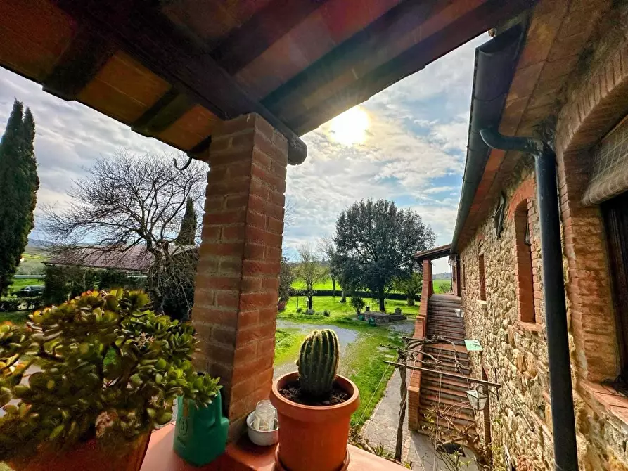 Immagine 5 di Casa colonica in vendita  a Suvereto