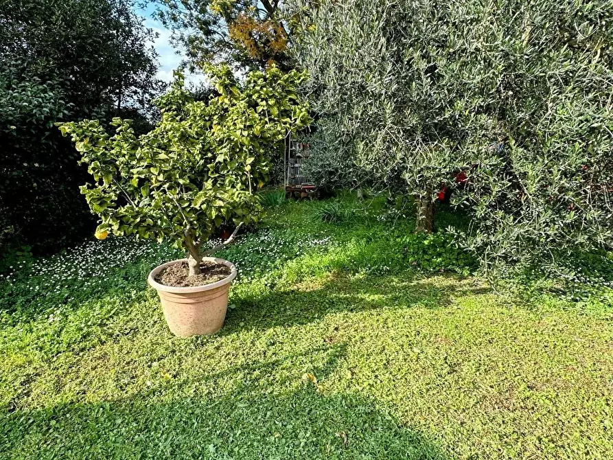 Immagine 30 di Casa colonica in vendita  a Suvereto