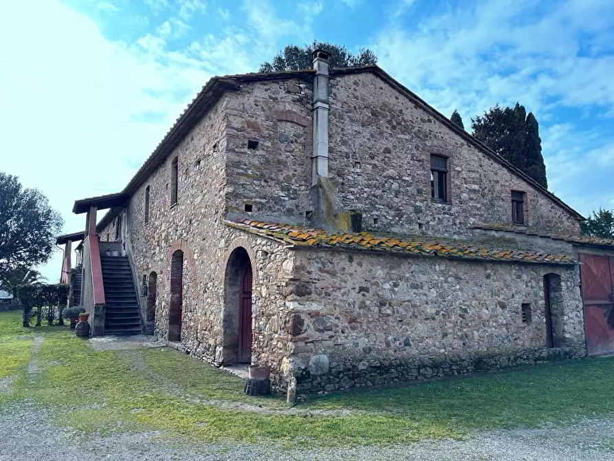 Immagine 4 di Casa colonica in vendita  a Suvereto