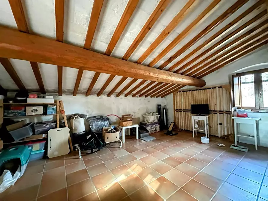 Immagine 21 di Casa colonica in vendita  a Suvereto