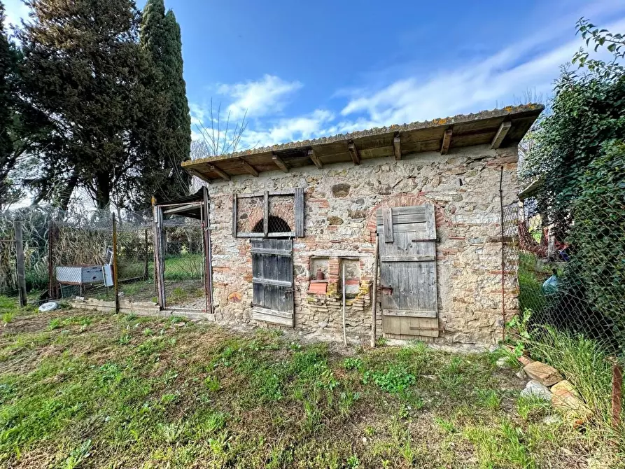 Immagine 39 di Casa colonica in vendita  a Suvereto