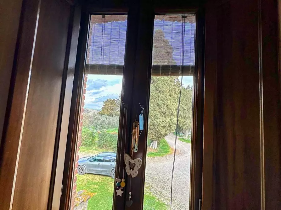 Immagine 16 di Casa colonica in vendita  a Suvereto