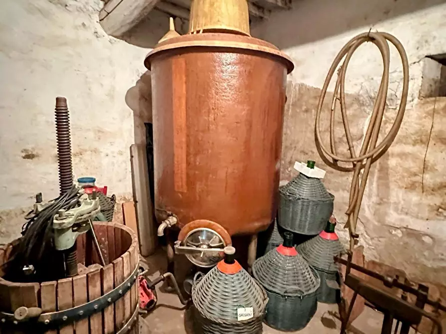 Immagine 32 di Casa colonica in vendita  a Suvereto