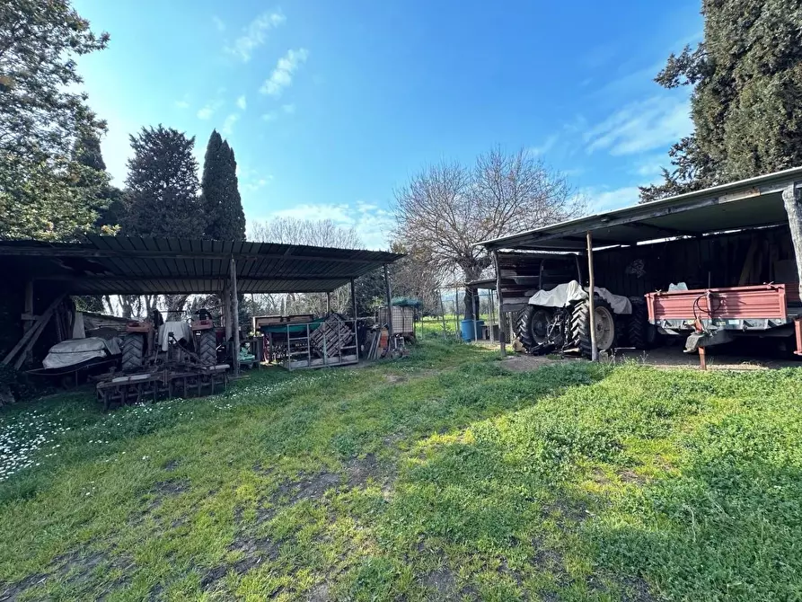 Immagine 36 di Casa colonica in vendita  a Suvereto